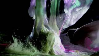 Kikagaku Moyo - Trilobites (Official Music Video)