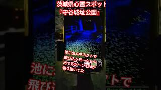 池に飛び込むSLSキネクトのモーションキャプチャー　 #心霊スポット #茨城県　#守谷沼　#守谷城址公園