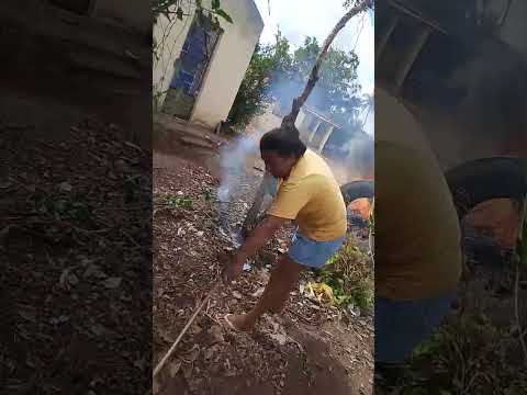 RANCHO DO CARRETEIRO BELEM ALAGOAS BRASIL