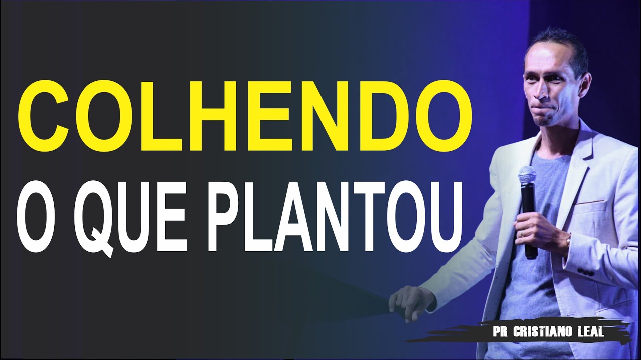 COLHENDO O QUE PLANTOU