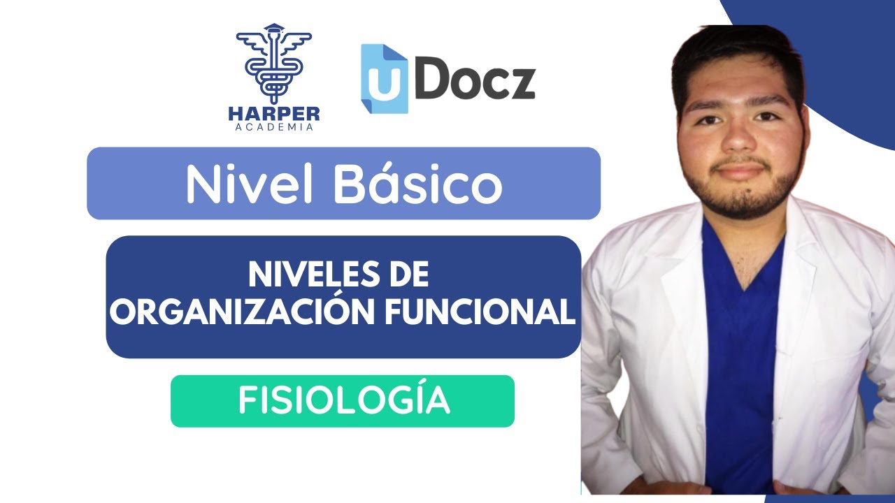 Niveles de Organización Funcional con Harper Academia & uDocz 📚| Nivel Básico