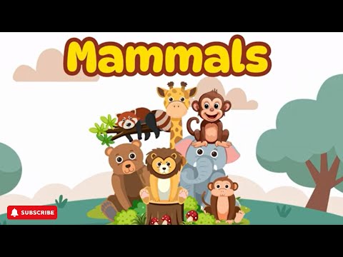 Amazing Facts about Mammals | Kids Learning video