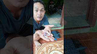 Download lagu THE MOST FUNNY FIREWORKS PRANK #shorts #prank #fyp #art #trending mp3