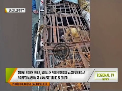 Regional TV News: Dog Meat Trading?