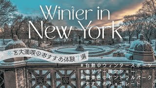 【ニューヨーク観光】元在住者おすすめ！冬を大満喫できる体験7選！｜海外旅行