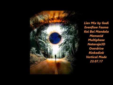 Liev Mix by Godi Evenflow Fasma Koi Boi Mandala Memacid Multiphase Nataraja3D Overdrive Rinkadink Ve