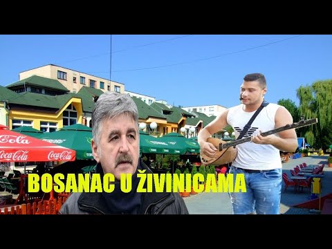 Sanel Osmanović - Bosanac na fešti u Zivinicama uzivo