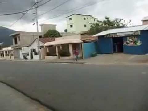 MARABUcaribe   -   Der weise MARABU