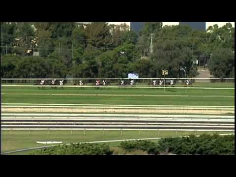 2010 - Ranvet Stakes - Theseo