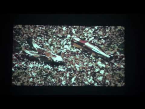 NeuesGold - 12 Schall & Rausch [VISUALS]