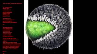 Africa Unite - Terra Tua