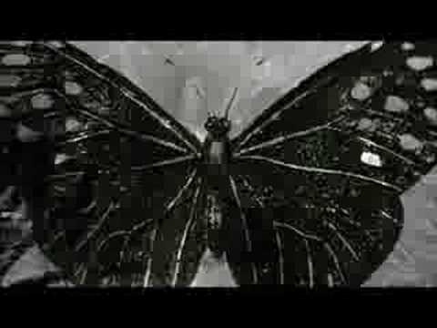 The Octopus Project "An Evening with Rthrtha" (Official Music Video)