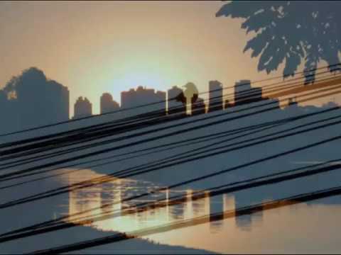 Caetano Veloso | A Rota do Indivíduo