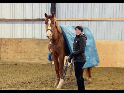 Casino CLS video 5