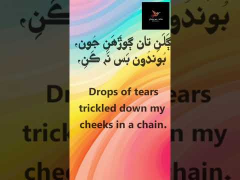 shah Abdul latif poetry l Sur bravo sindhi