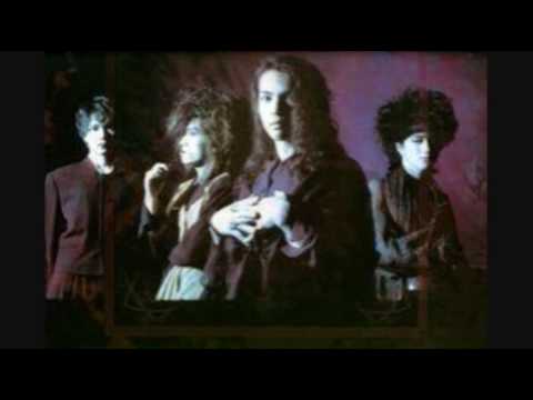 Insanity - L'arc~en~ciel