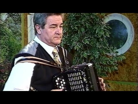 FISARMONICA | "REGINETTA" (Polca) Ruggero Passarini @Musicainballo