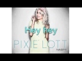Pixie Lott - Nasty (lyrics) 