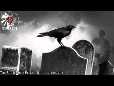 Die Braut - The Black Bird ( Echoes from the desert )