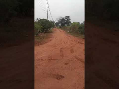 Passeio Carroça Perobal Paraná