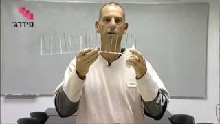 דוקרנים להרחקת יונים