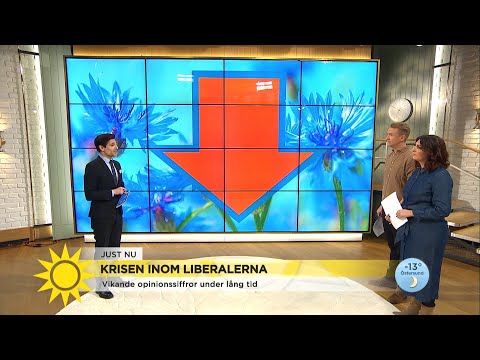 Marcus: ”Snart blir det ännu värre för Liberalerna” - Nyhetsmorgon (TV4)