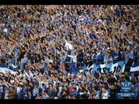 Zeljo - Univerzitatea 1984/1985