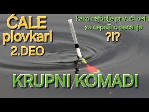 KRUPNI KOMADI NA PLOVAK × NAJEFIKASNIJI NAČIN ZA USPEŠNO PECANJE BELE RIBE..#floatfishing