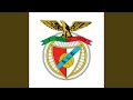 Canção Do Estádio Da Luz Benfica Benfica Stadium Song I Will Survive
