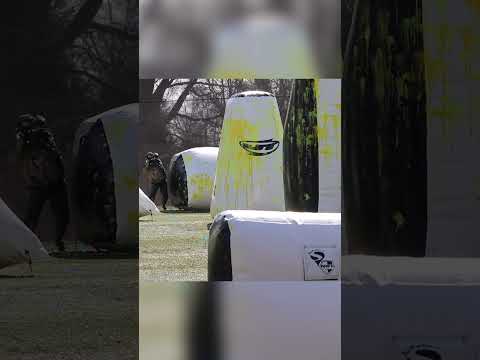 Wtf is going on here?!