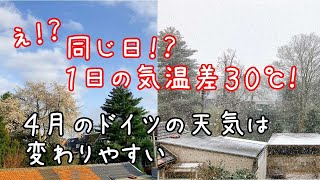 【ヨーロッパViog】2021年4月の桜と雪景色（Aprilwetter）アプリルヴェッター