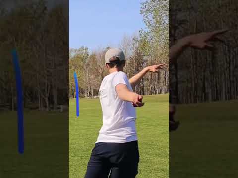 LONE STAR DISC - Lone Wolf