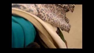 PARK AVE Thrifting with Piranha