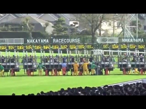 2016 皐月賞 ディーマジェスティ JAPANESE 2000 GUINEAS Dee Majesty