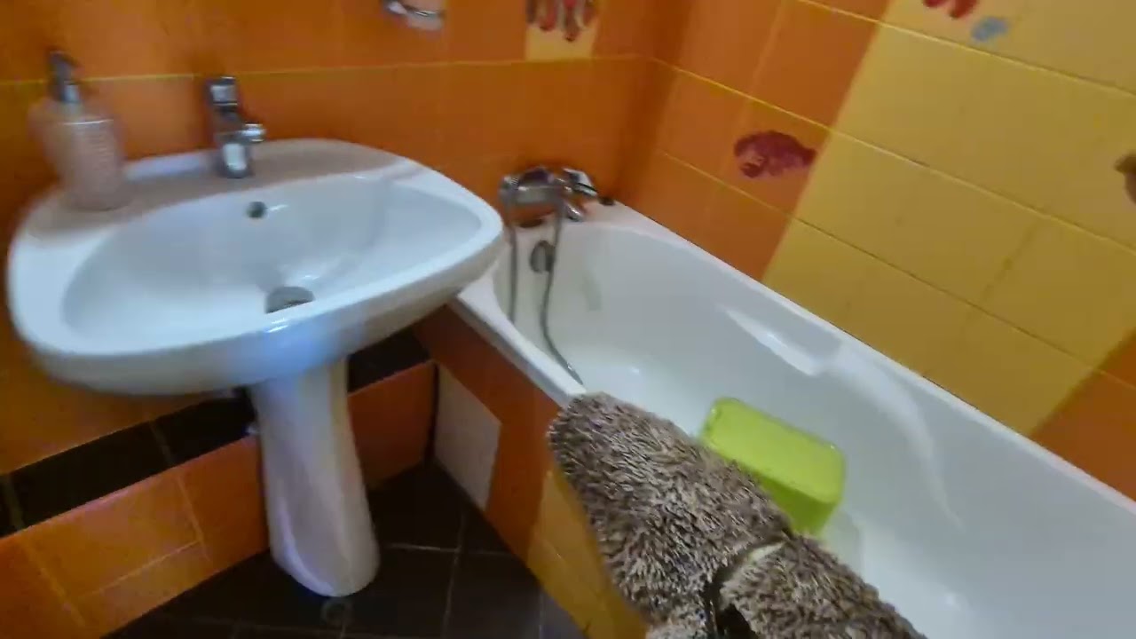 Tur video  Apartament 2 Camere Tei Bucuresti