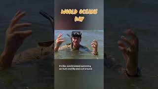 Our oceans are truly precious | International Oceans Day