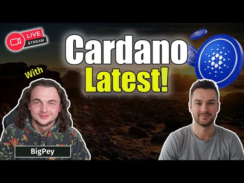 Cardano's Biggest News and Updates Live With Big Pey