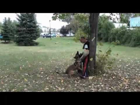 Nikolay Vasilev  and  Santosh ot Tangrach , Rumena Kaneva