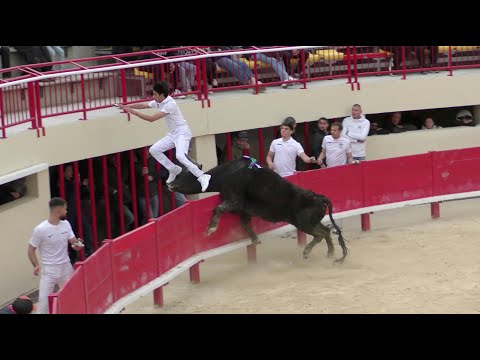 MAUGUIO (29/03/2025) - Le résumé de la course