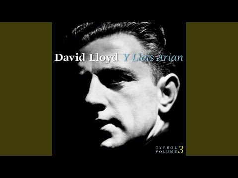 My Little Welsh Home