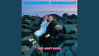 Black Snake Diamond Rock