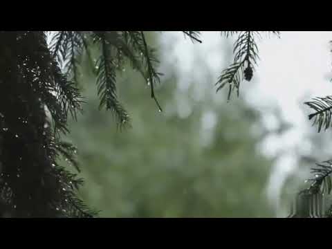 Nasheed - Amantu Billah (Slowed + Reverb) [Lyrics in desc] #nasheed