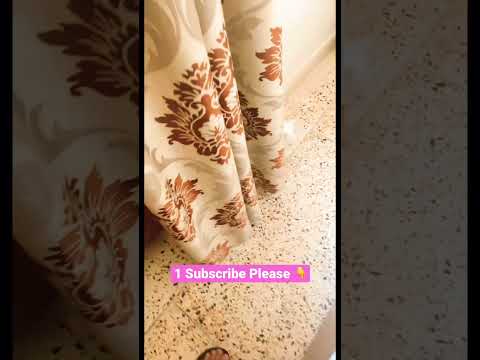 #shorts #ytshorts #cat #funnycats #catlover #cuteanimals #catvideos #fyp #shortsvideo #youtubeshorts