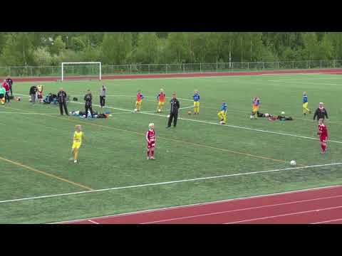 030618 FC SCJ P06 - OLS 06 Edustus