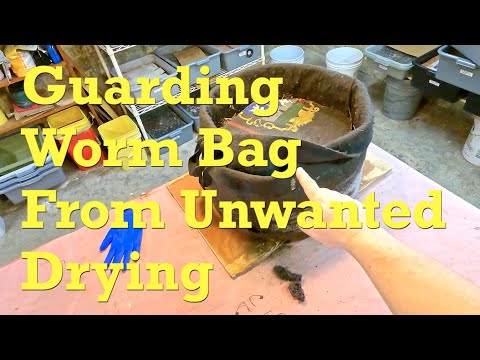 Moisture saving efforts in worm bag from outdoors (3 weeks inside now) - vermicompost