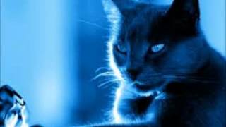 EL GATO TRISTE Y AZUL