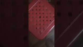 luffy's chair edit🥶