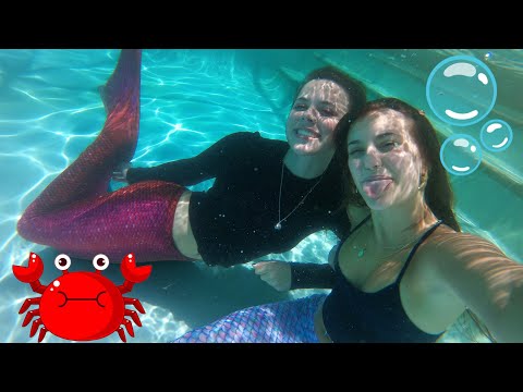 We Became Mermaids 🧜‍♀️