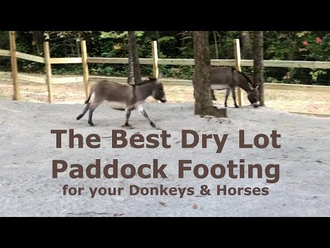 YouTube video about: How to make a dry lot for horses?