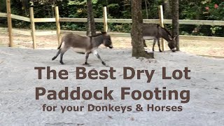 The Best Dry Lot Paddock Footing for your Donkeys & Horses - Let